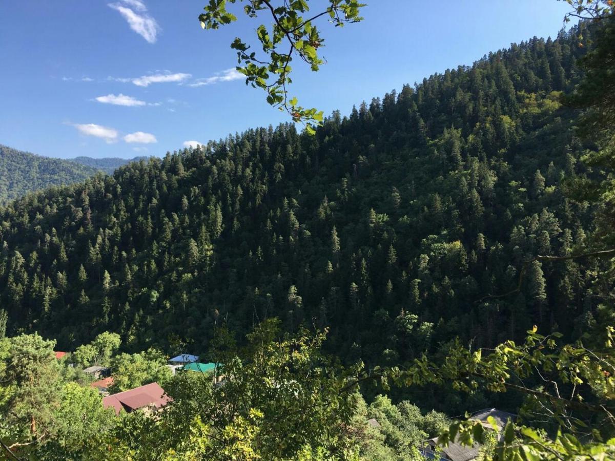 Serenity Likani Villa Hotel Боржоми Екстериор снимка