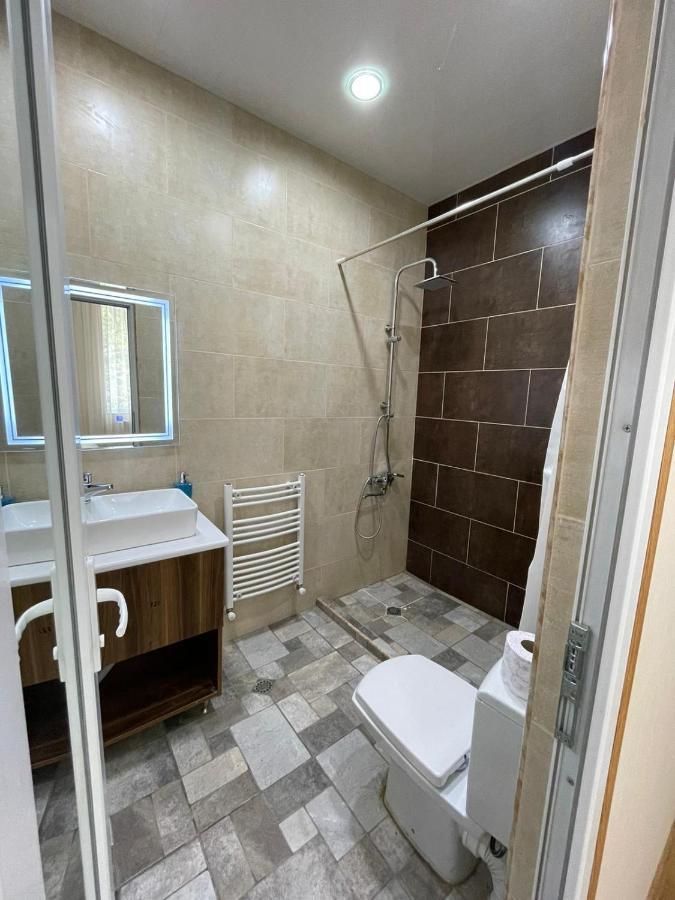 Serenity Likani Villa Hotel Боржоми Екстериор снимка