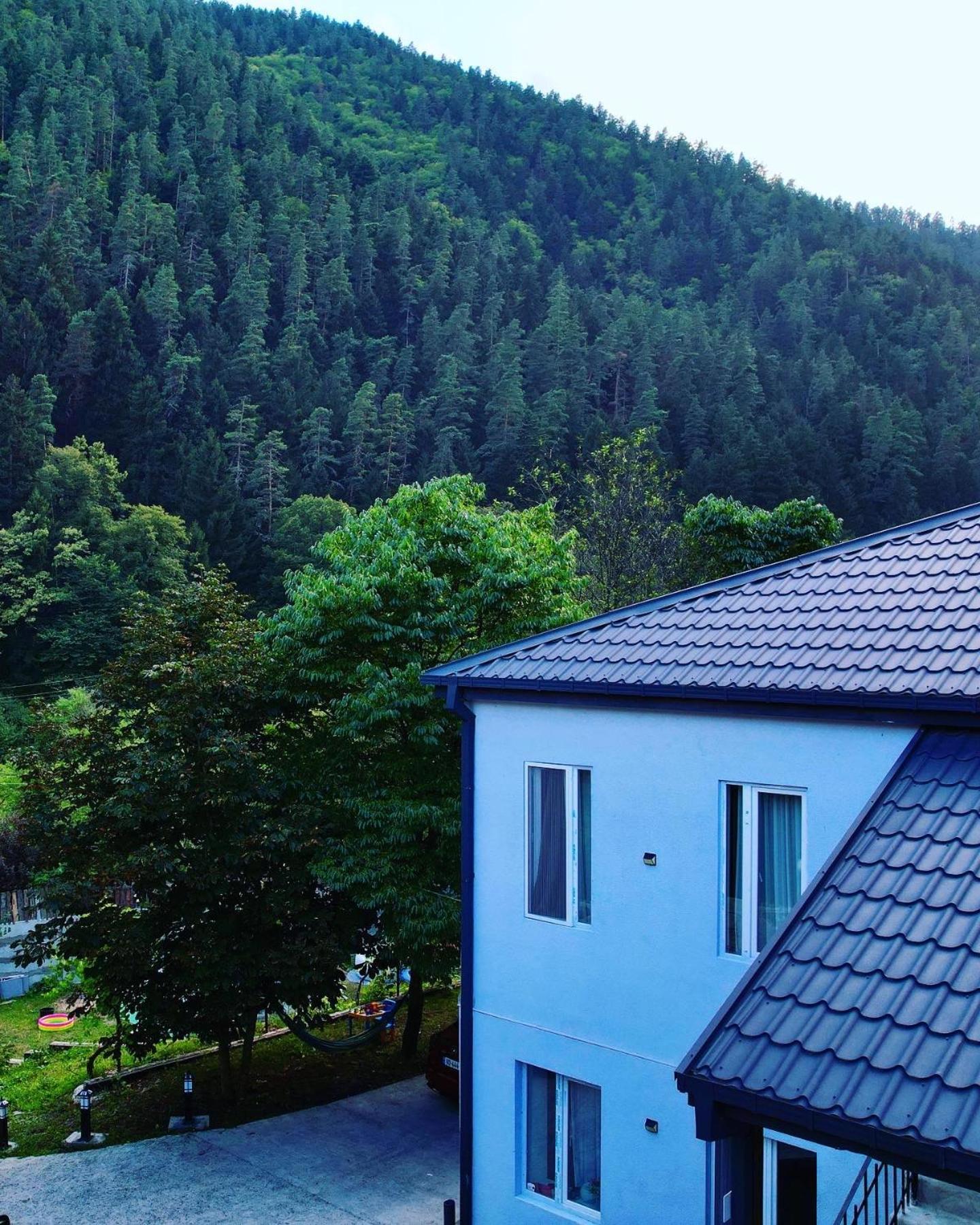 Serenity Likani Villa Hotel Боржоми Екстериор снимка